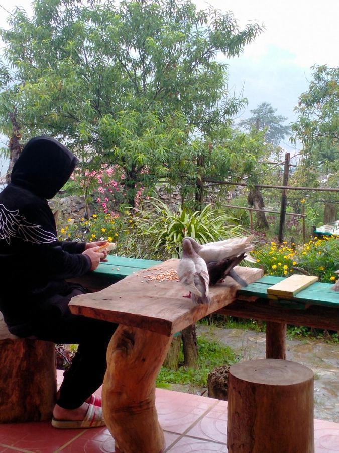H'Mong Co Tran Sapa Homestay エクステリア 写真