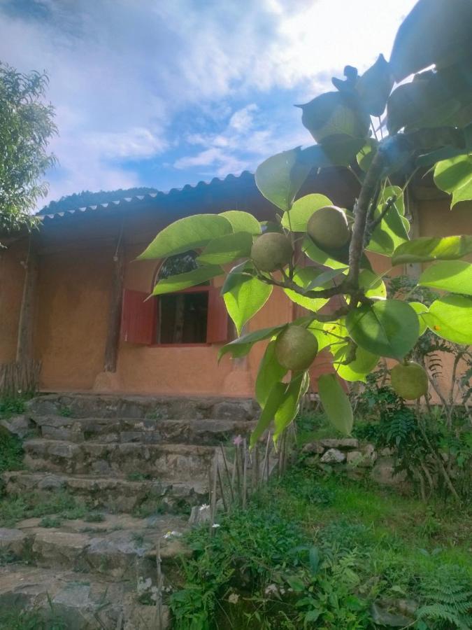 H'Mong Co Tran Sapa Homestay エクステリア 写真