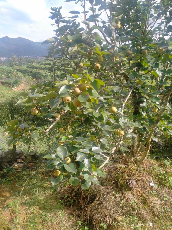 H'Mong Co Tran Sapa Homestay エクステリア 写真