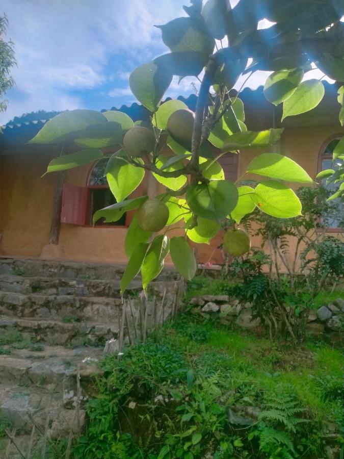 H'Mong Co Tran Sapa Homestay エクステリア 写真