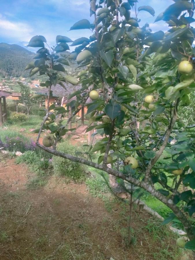 H'Mong Co Tran Sapa Homestay エクステリア 写真